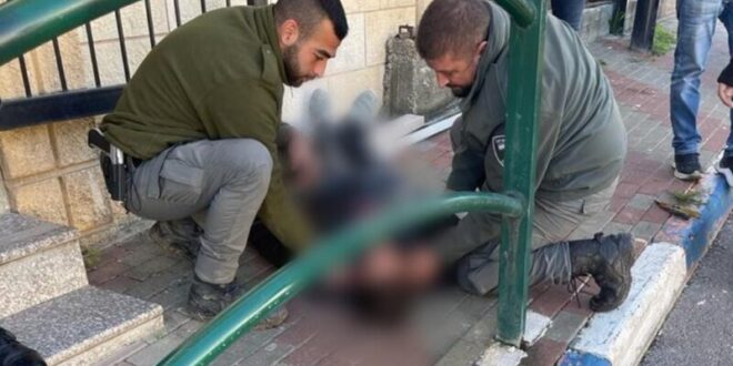 A suspect was moderately injured during a chase by Border Police forces in the Upper Galilee