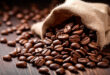 7 facts about coffee beans you should know